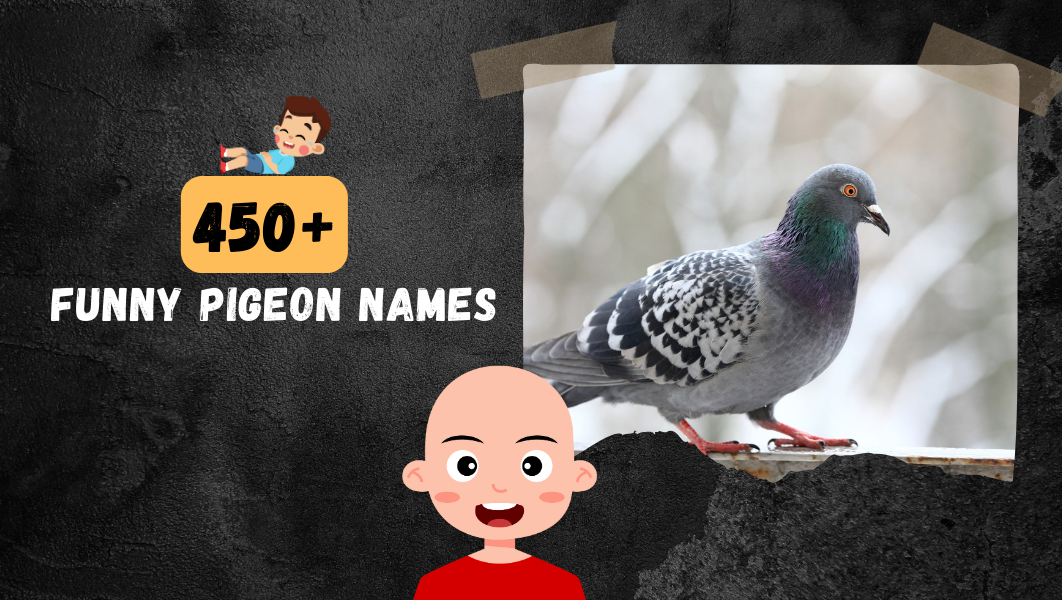 Funny Pigeon names