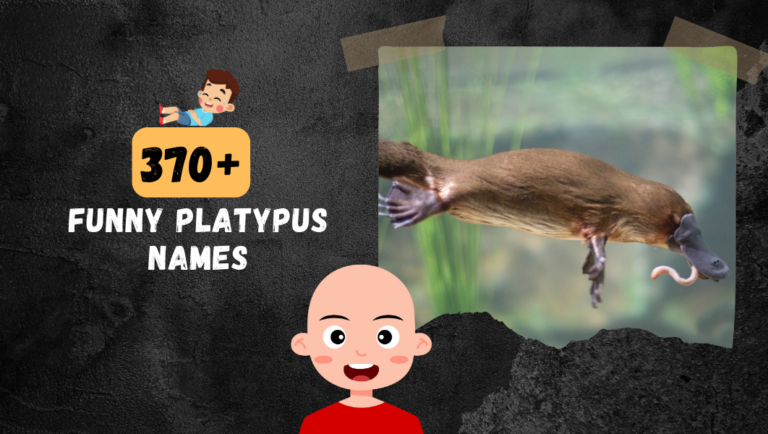 370+ Best Platypus names For cute, funny and beloved platypus