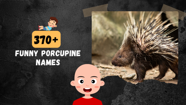 370+ Funny Porcupine Names Ideas That You’ll Love