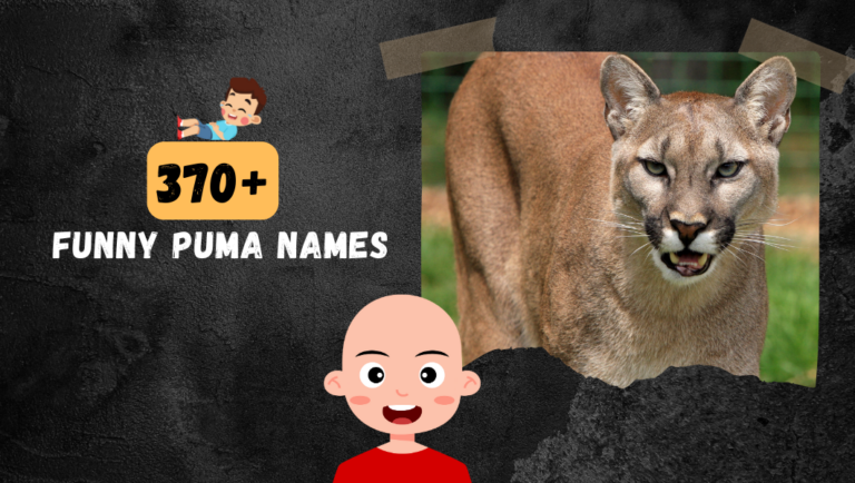 Roaring with Laughter: 370+ Hilariously Funny Puma Names