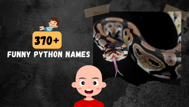 370+ Rib-Tickling Cool & Funny Python Names