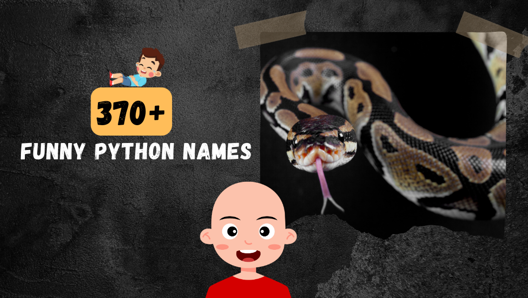 Funny Python names