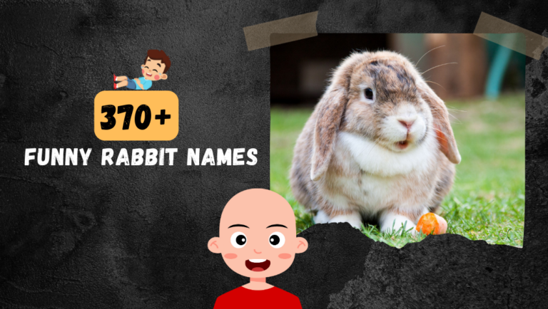 370+ Funny and Cute Rabbit names For your pet bunny