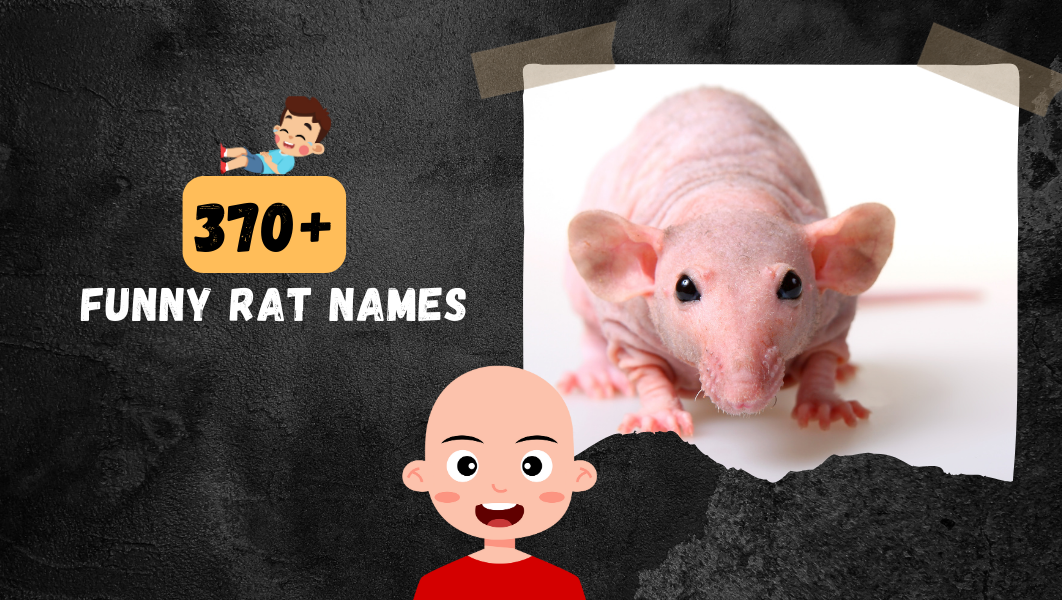 Funny Rat names