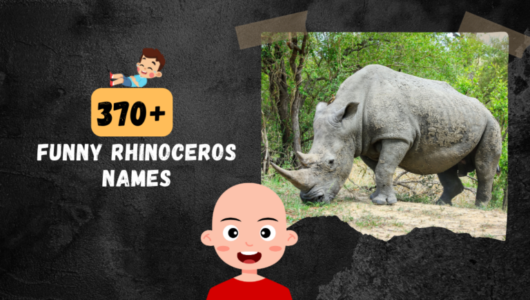 370+ Funny & Cool Rhinoceros Names (Pick From List)