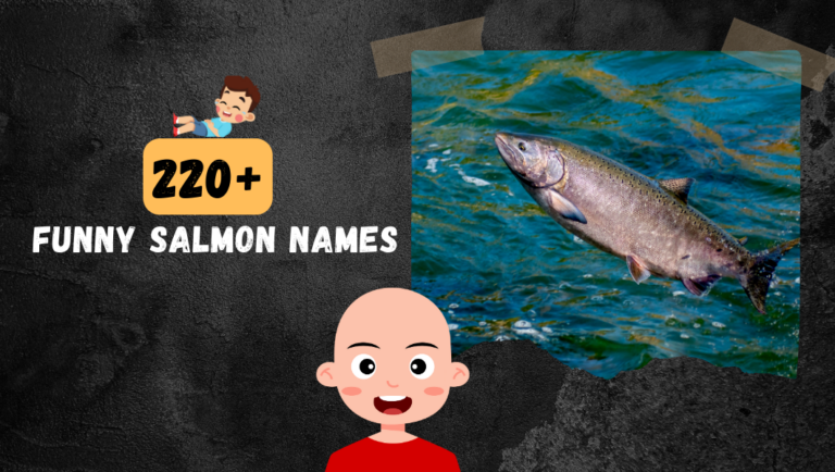 220+ Laugh Out Loud With Funny Salmon Fish Names