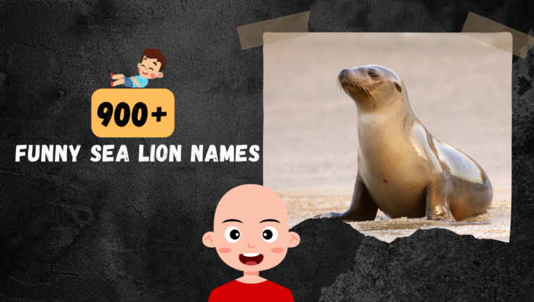 900+ Funny Sea lion Names To Make You “Sea-lion Laugh”