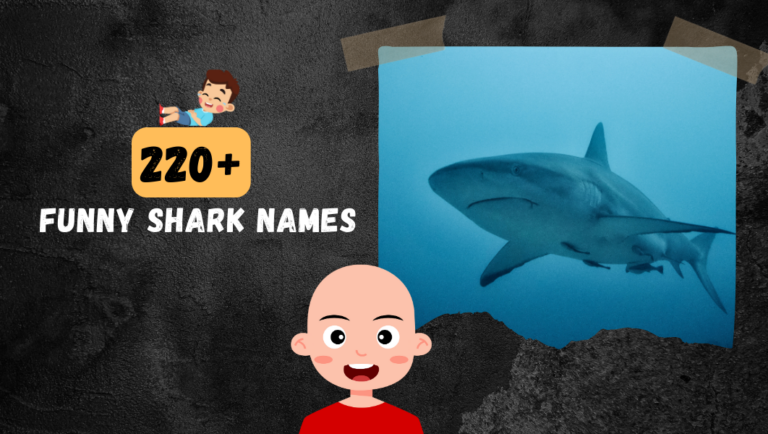 220+ Funny Shark Names (Cool, Clever & Strong)