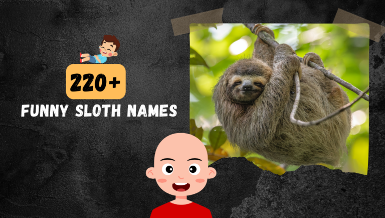 220+ Hilariously Funny Sloth Names (Revealed)