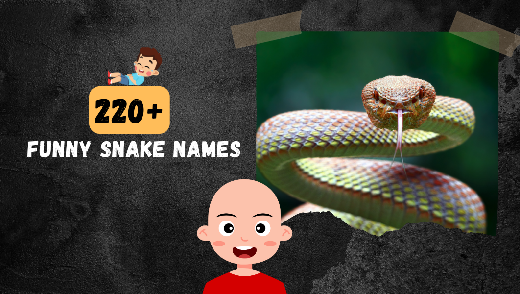 Funny Snake names
