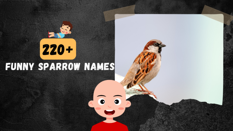 350+ Funny Names For Your Flying Pet Sparrow