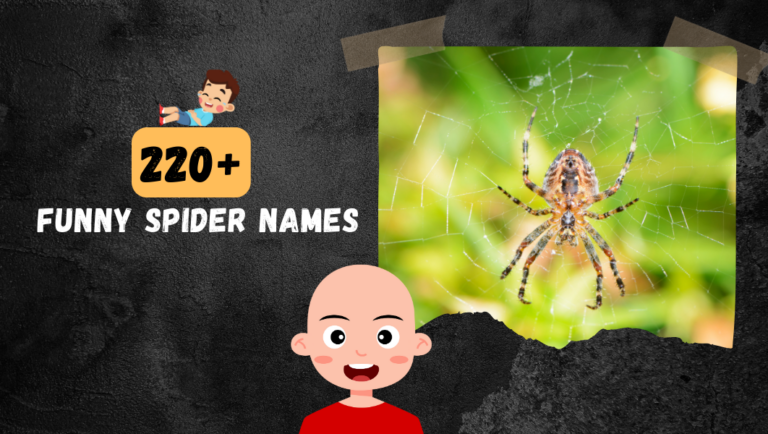 220+ Funny Spider names For you Eight-Legged Friends