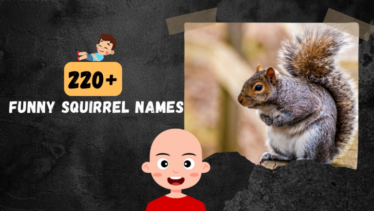 220+ Funny Squirrel Names [Best Ideas] to choose from.