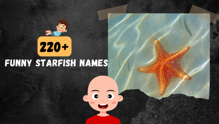 220+ Cool Cute & Funny Starfish Names For Your Underwater Friend