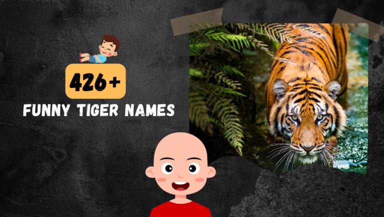 426+ Funny Tiger Name (Male & Femal) LOL!