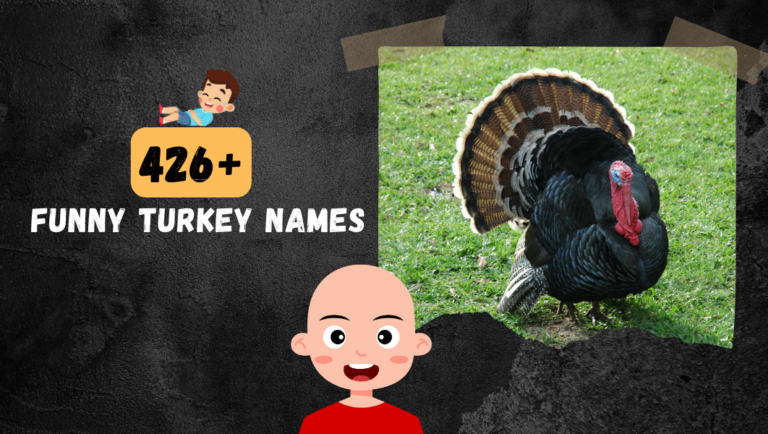 426+ Turkey Names (Funny, Crazy & Unique Name Ideas)