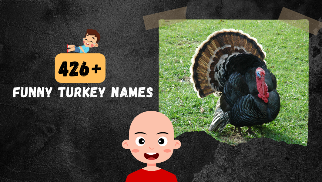 Funny Turkey names