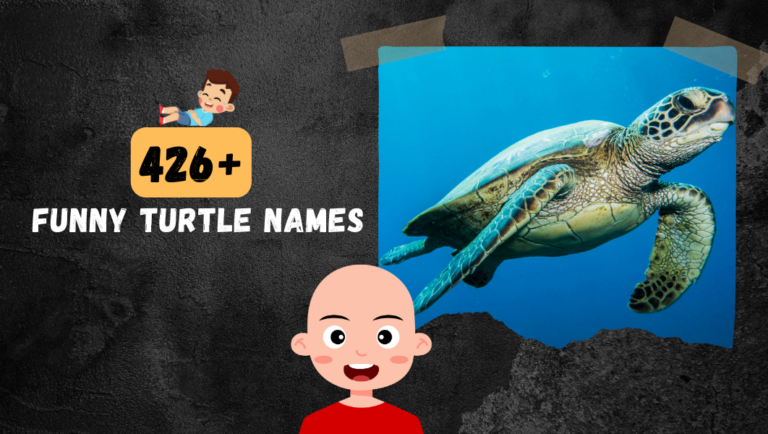 426+ Funny Names for Your Shelled Friend (Turtle Name Ideas)