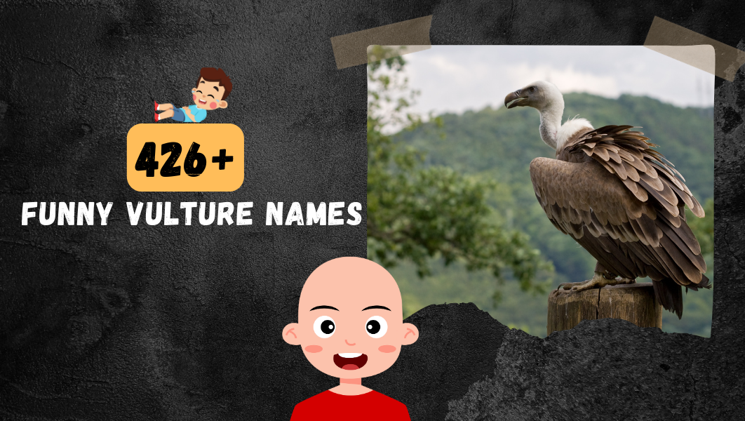 Funny Vulture names
