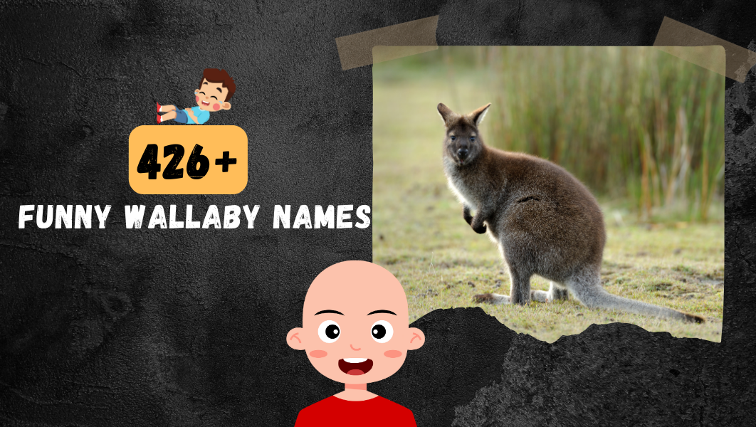 Funny Wallaby names