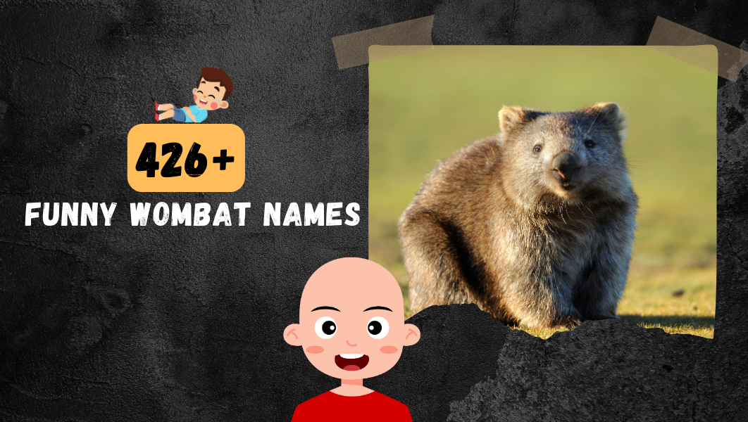Funny Wombat names