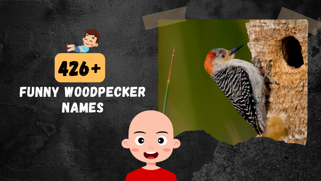 Funny Woodpecker names