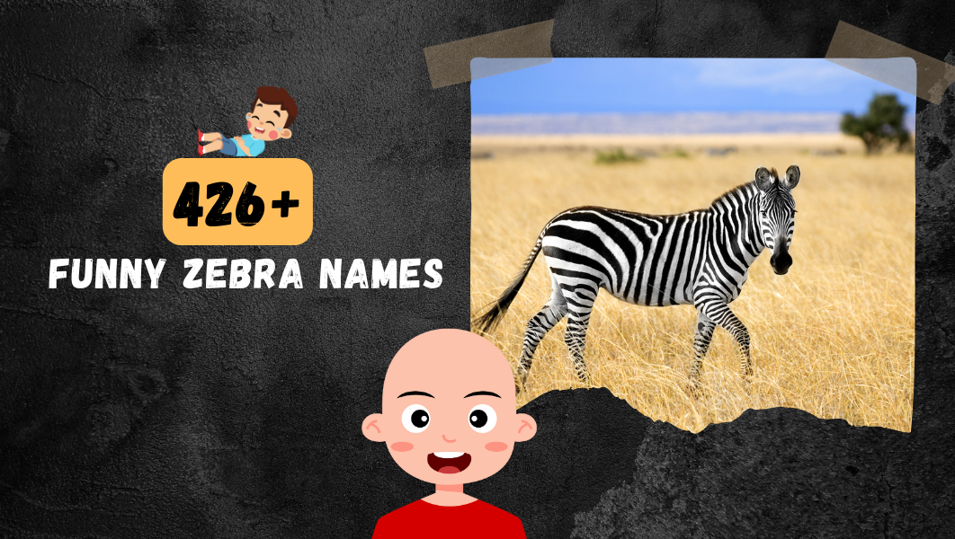 Funny Zebra names