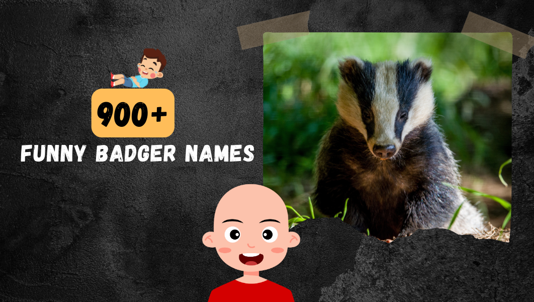 Funny badger names