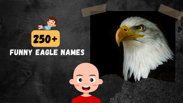 250+ Funny Eagle names | List Of Cool, Catchy, Unique and Famous Ideas