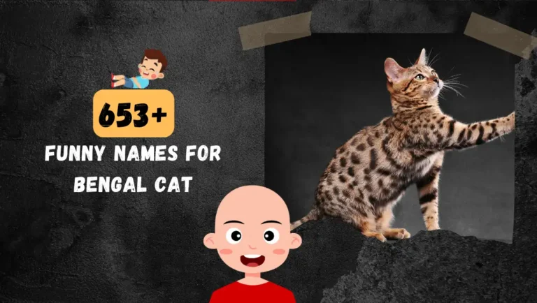 653+ Bengal Cat Names: Unique, Famous & Funny Ideas.