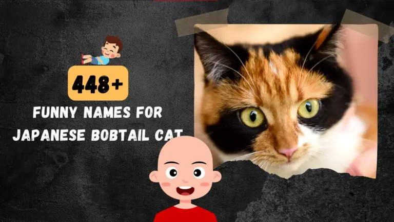 448+ Funny & Cute Japanese Bobtail Cat Name For Your Fluffy Friend.