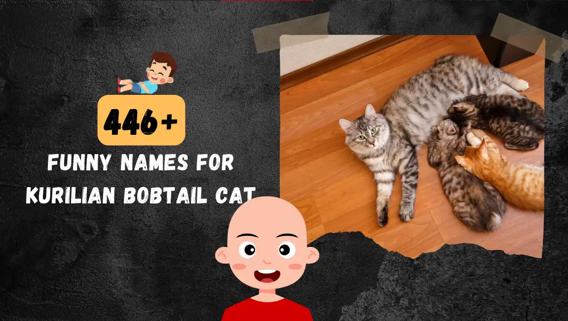 Funny names for Kurilian Bobtail Cat