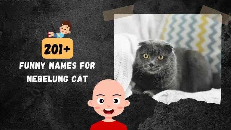 201+ Nebelung Cat Names: Funny, Clever & Popular Ideas