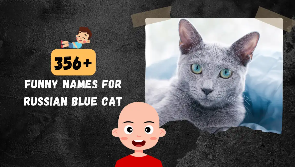 Funny names for Russian Blue Cat