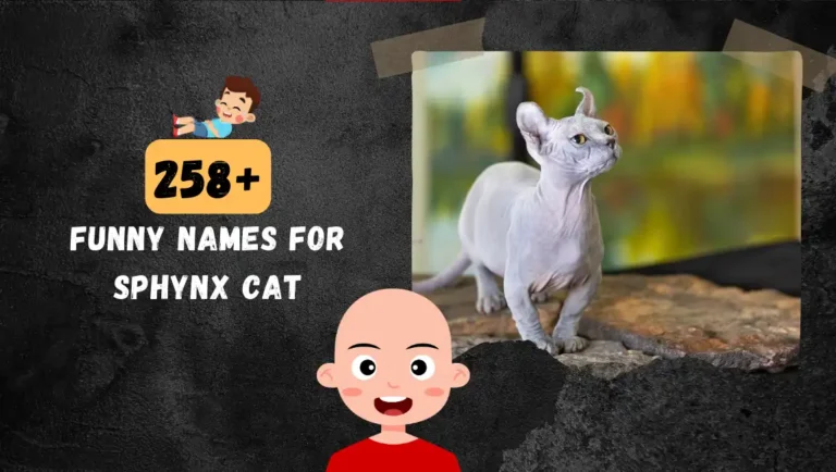 258+ Funny Sphynx Cat Names For Your Unique Hairless Cat.