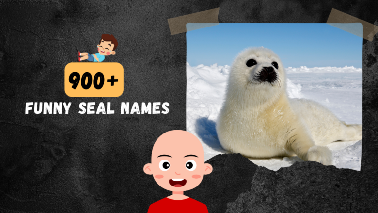 900+ Names  For Seal: Sealiously Funny & Friendly Ideas