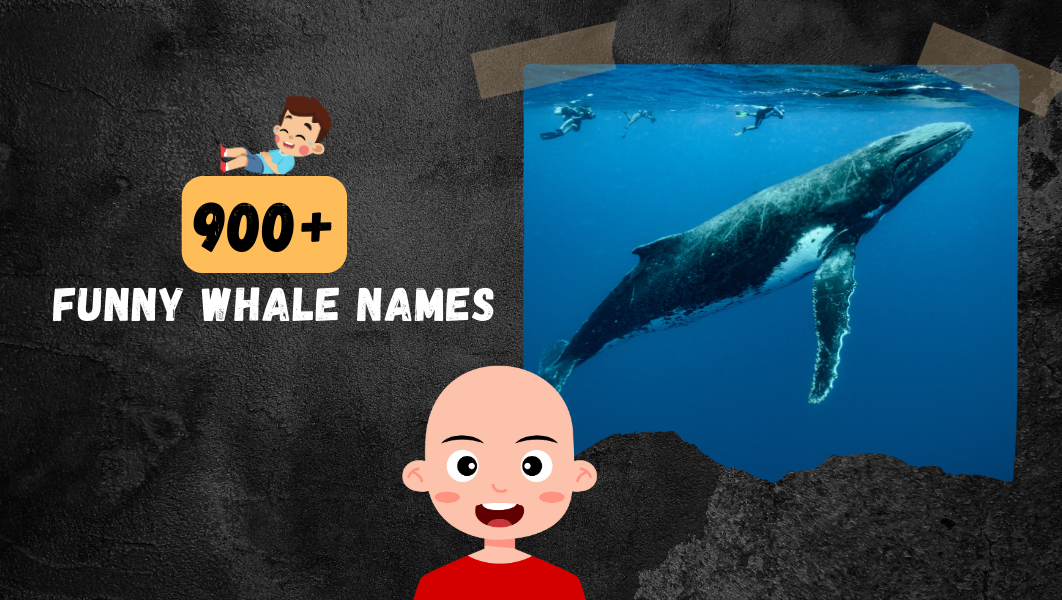 Funny whale names