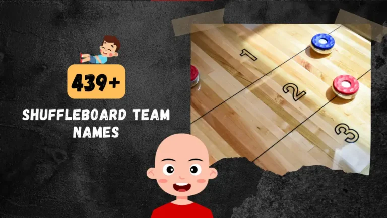 439+ Best Shuffleboard Team Names Which Are Funny + Creative + Puns.