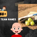 Softball Team Names Featured Image